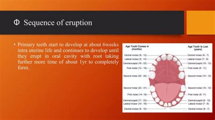 How do you remember the eruption sequence of teeth?