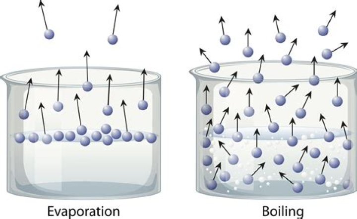 What best describes the evaporation of water?
