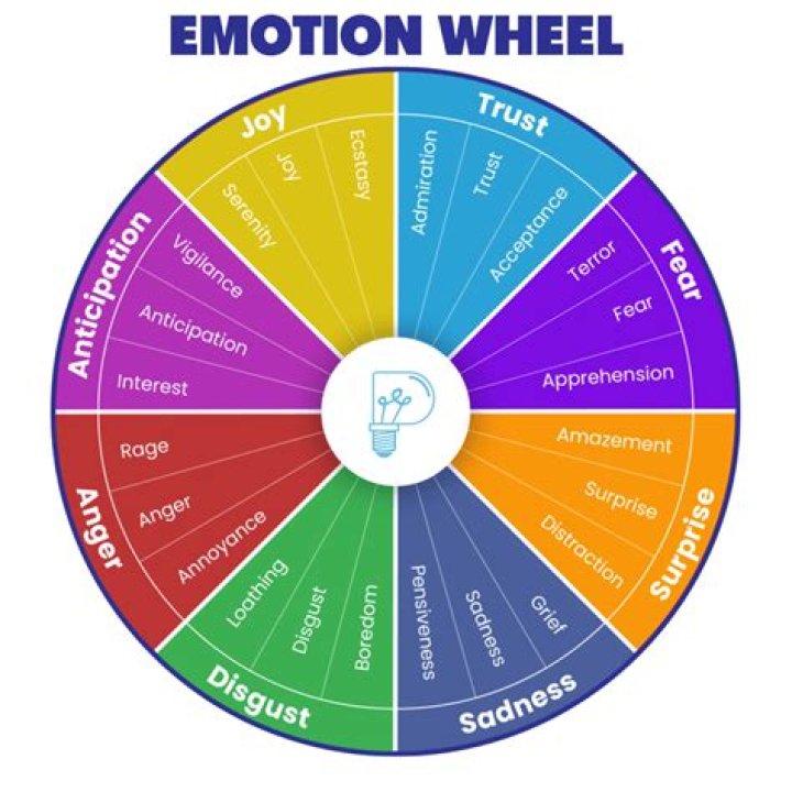 What is an emotional wheel?