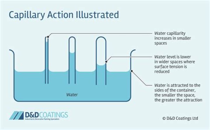 What is capillary action in water?